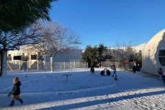 IMG-20260106-WA0017