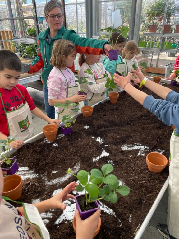 Une matinée à la jardinerie Botanic pour la classe de CE1/CE2