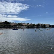 IMG_7703