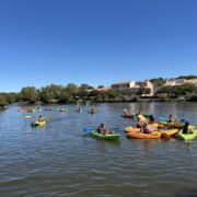 IMG_7755